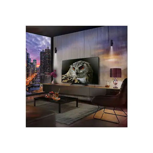 LG OLED evo C4 OLED48C44LA Televisor 121,9 cm (48\) 4K Ultra HD Smart TV Wifi Negr