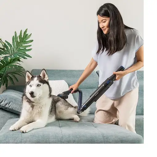 Cecotec Conga Rockstar Micro+ Animal aspiradora de mano Gris Sin bolsa