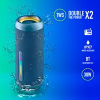 ROLLERFURIA2BLUE