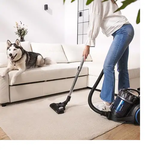 Cecotec 08592 aspiradora 4 L Aspiradora de tambor Secar 800 W Sin bolsa