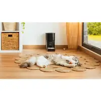 Cecotec Comedero Pumba 6000 Purrfect Meal Smart Cecotec Cecotec Comedero Pumba 6000 Purrfect Meal Smart Cecotec