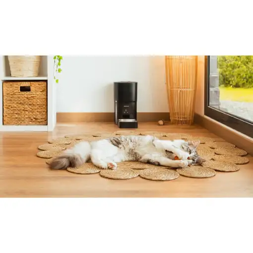 Cecotec Comedero Pumba 6000 Purrfect Meal Smart Cecotec Cecotec Comedero Pumba 6000 Purrfect Meal Smart Cecotec