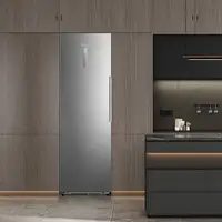 Hisense FT3K310SAIE congelador Congelador vertical Independiente 312 L E Acero ino