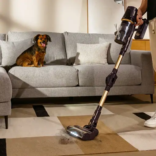 Cecotec Conga Rockstar RS70 Pet Flex aspiradora de mano Azul Sin bolsa