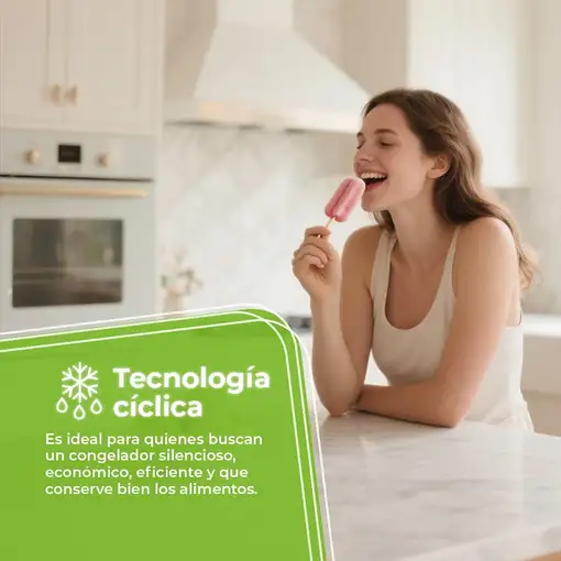 Aspes ACV855501E congelador Congelador vertical Independiente 91 L E Blanco