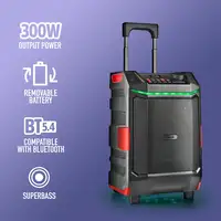 NGS WILD BASH: ALTAVOZ PREMIUM PORTÁTIL DE 300W COMPATIBLE CON TEC. BLUETOOTH