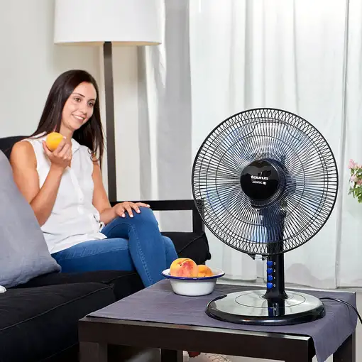Ventiladores sobremesa Negro TAURUS
