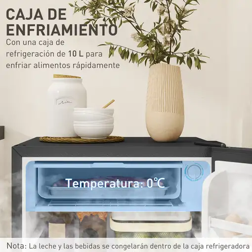Mini Nevera Silenciosa 91 L Clase E con Estantes Ajustables Negro HOMCOM