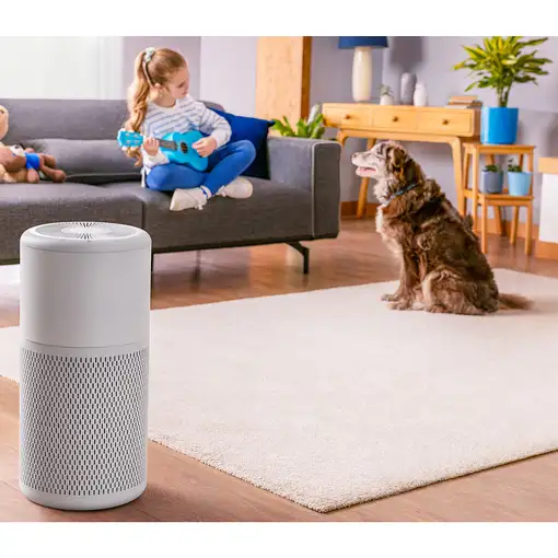 Beko ATP6100I purificador de aire 24 m² 55 dB 22 W Blanco