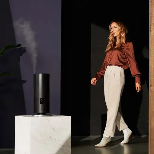 Duux Beam Mini 2 humidificador Ultrasónica 3 L Negro