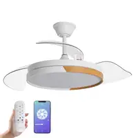 Yoevu EOS NATURE WHW- Ventilador de techo luz led, DC, difusor haya, 6 velocidades
