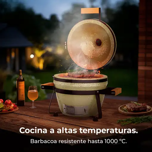 Cecotec 3248 barbacoa y parrilla al aire libre Parrilla/barbacoa Kamado Egg Carbón