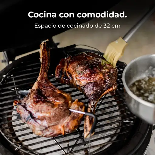 Cecotec 3248 barbacoa y parrilla al aire libre Parrilla/barbacoa Kamado Egg Carbón