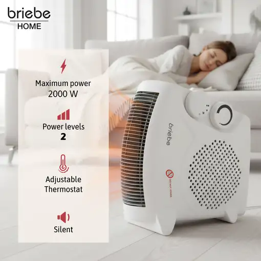 Calefactor Bajo Consumo Ventilador Eléctrico Aire Caliente/Frío, Briebe HT1181
