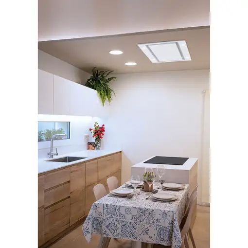 Edesa ECC 1832 WH De techo Blanco A 850 m³/h