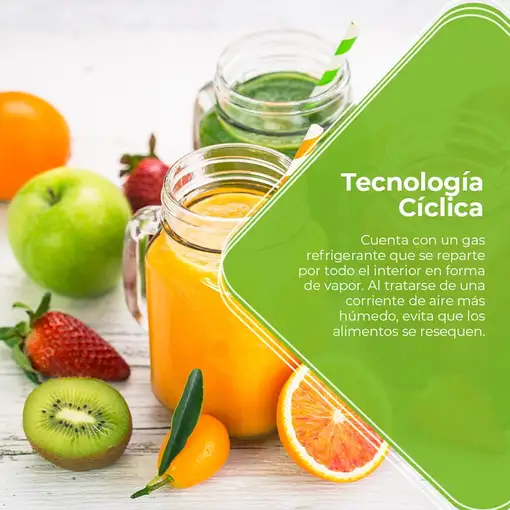 Nevera y congelador Independiente 206 L Blanco AF145503E ASPES