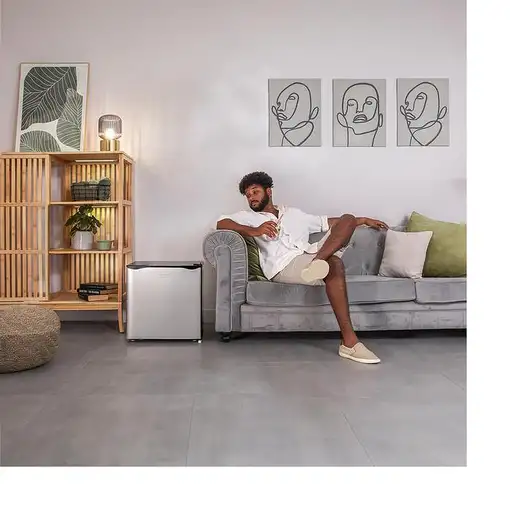 Cecotec 03617 frigorífico Independiente 46 L Acero inoxidable