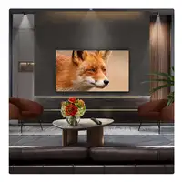 Televisor OLED evo 48" 4K Ultra HD Negro Smart OLED48C54LA.AEU LG