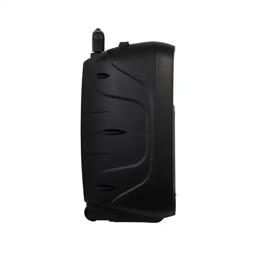 Fonestar MALIBU-310 altavoz Negro Inalámbrico y alámbrico 100 W