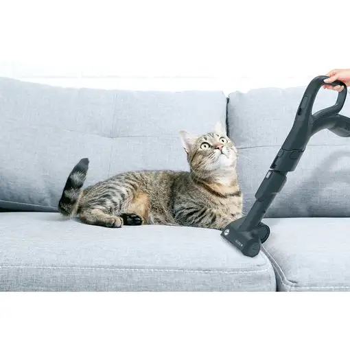 Hoover H-POWER 700 HP720PET 011 2 L Aspiradora cilíndrica Secar 850 W Sin bolsa