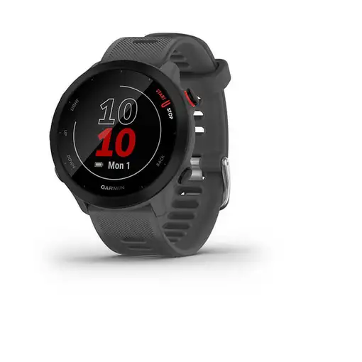 Smartwatch 77066 GARMIN