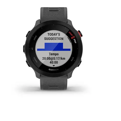 Smartwatch 77066 GARMIN
