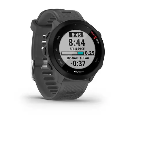 Smartwatch 77066 GARMIN