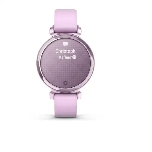 Smartwatch GARMIN