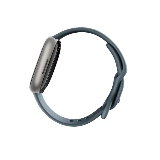 Smartwatch Platino FITBIT