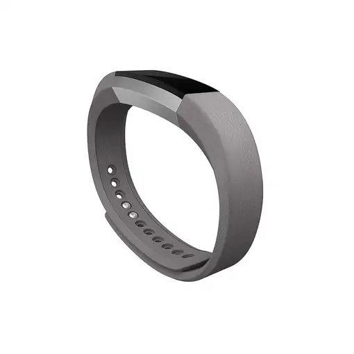 Fitbit FB158LBGPS Accesorios para dispositivos vestibles inteligentes