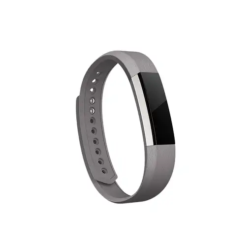 Fitbit FB158LBGPS Accesorios para dispositivos vestibles inteligentes