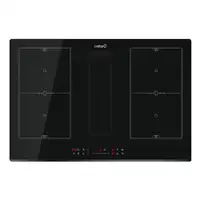 Placa de inducción 08000200 CATA