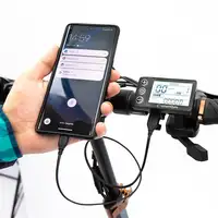 smartGyro Speedway PRO Negro 25 kmh 15 Ah