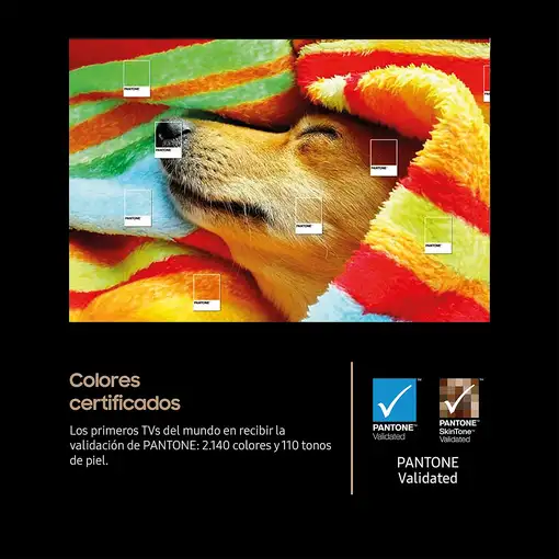 Televisor OLED 48'' 4K Ultra HD Negro Smart TQ48S93FAEXXC SAMSUNG