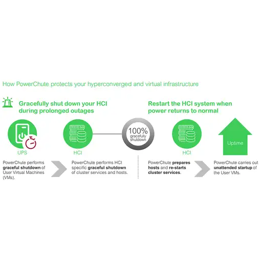APC SWPCNS5Y-DIGI licencia y actualización de software Inglés 5 año(s)