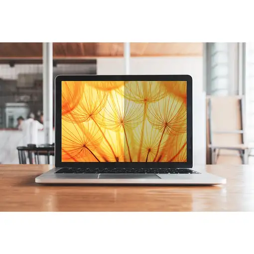 3M Filtro privacidad Bright Screen 13.3 pulg portátil, 16:9, BP133W9B