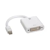 V7 Adattatore video bianco da Mini DisplayPort maschio a DVI-D maschio