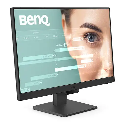 BenQ GW2490 pantalla para PC 60,5 cm (23.8") 1920 x 1080 Pixeles Full HD Negro
