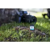 Kingston Technology Canvas Go! Plus 1TB SDXC Canvas Go Plus Gen4 200MB/s C10 UHS-I