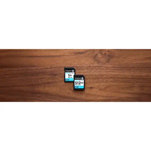 Kingston Technology Canvas Go! Plus 512GB SDXC Canvas Go Plus Gen4 200MB/s C10 UHS