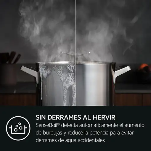 Placa de inducción 949 598 384 AEG