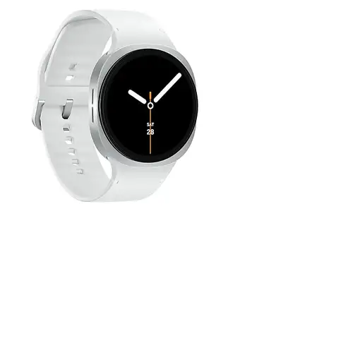 Smartwatch SAMSUNG