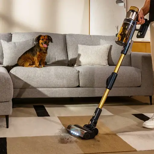 Aspiradoras de escoba bolsa para el polvo 0.5 L Negro A01_EU01_115421 CECOTEC