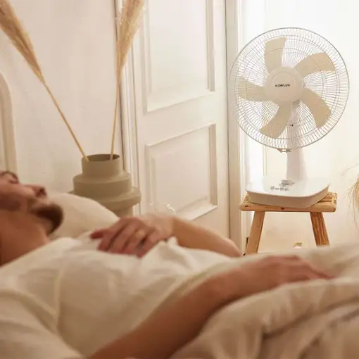 Newlux - Ventilador de sobremesa Desk W500 5 Aspas (Ø 40cm)