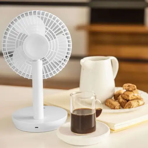 Newlux - Ventilador de Sobremesa USB Desk W300