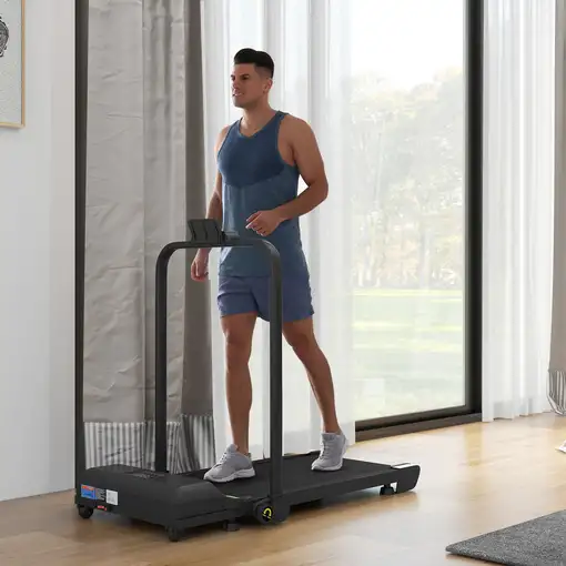 Cinta de Correr 2 en 1 Cinta de Andar Plegable 2,5 HP Negro HOMCOM