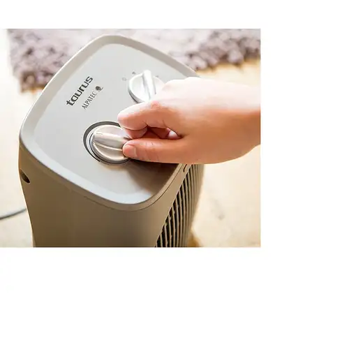 Taurus Tropicano Bagno Interior Gris 2000 W Ventilador eléctrico