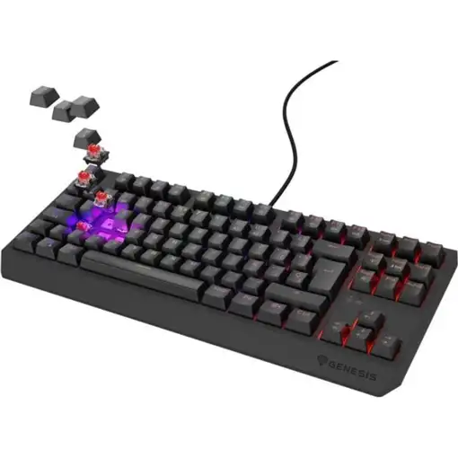 GENESIS Thor 230 TKL teclado Juego USB QWERTY Español Negro