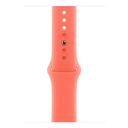 Apple MDT54ZM/A Accesorios para dispositivos vestibles inteligentes Grupo de rock