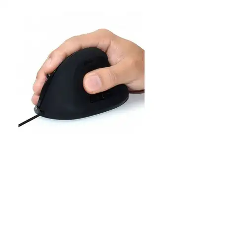 Ewent EW3157 ratón Oficina mano derecha USB tipo A Óptico 1800 DPI